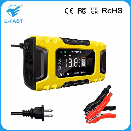 Intelligentes 12V 24V AGM Efb Blei-Säure-Batterieladegerät mit ABS-Gehäuse